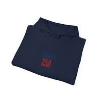 America 250 Anniversary Hoodie | 4th of July Patriotic Milestone 20