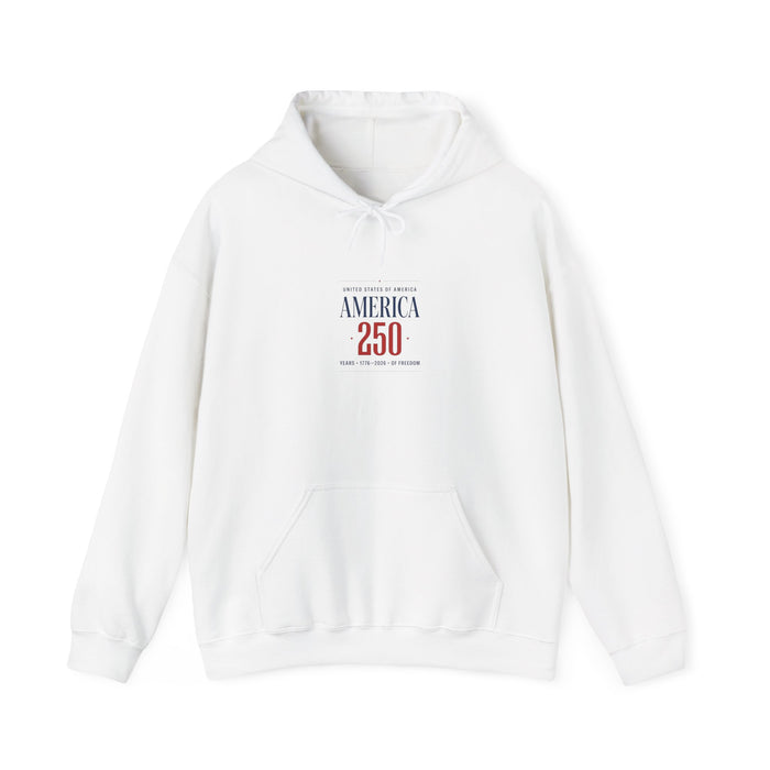 America 250 Anniversary Hoodie | 4th of July Patriotic Milestone